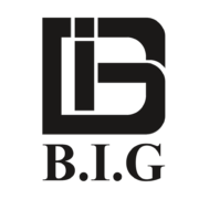 B.I.G logo