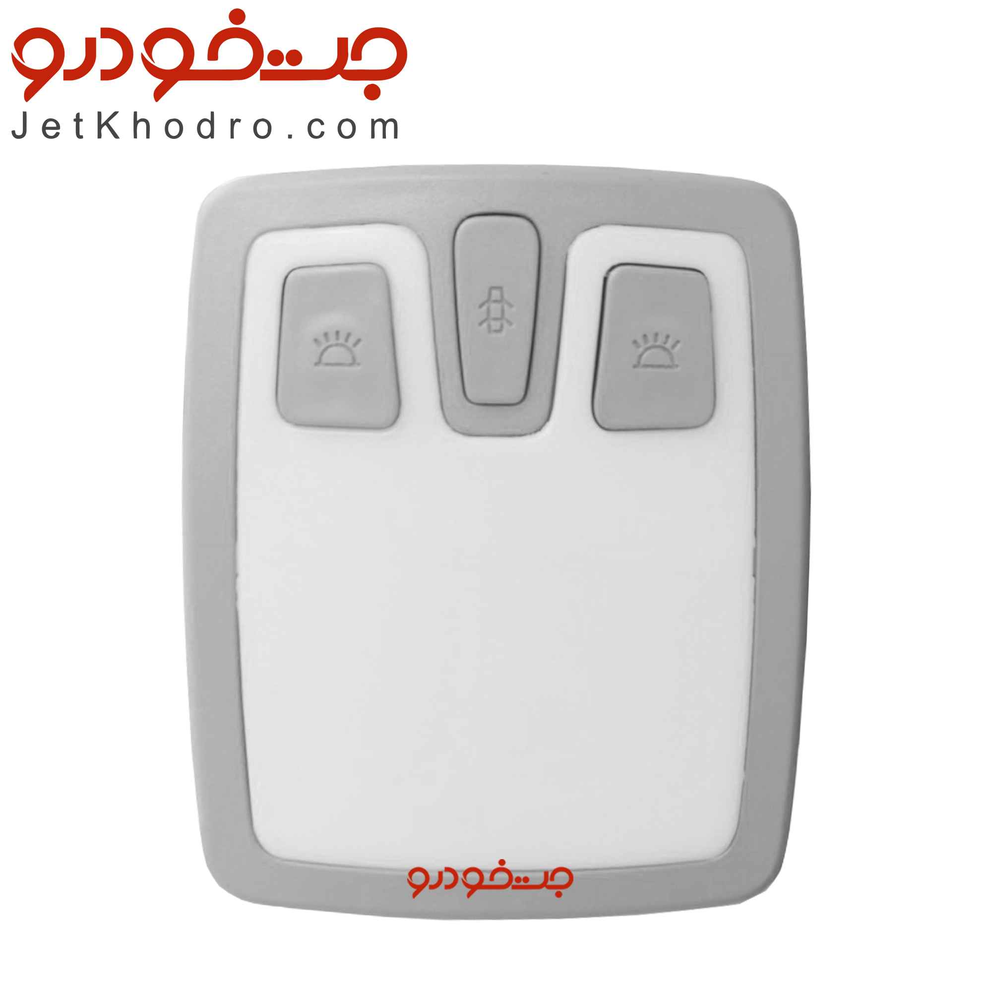 چراغ سقف دنا خاکستری